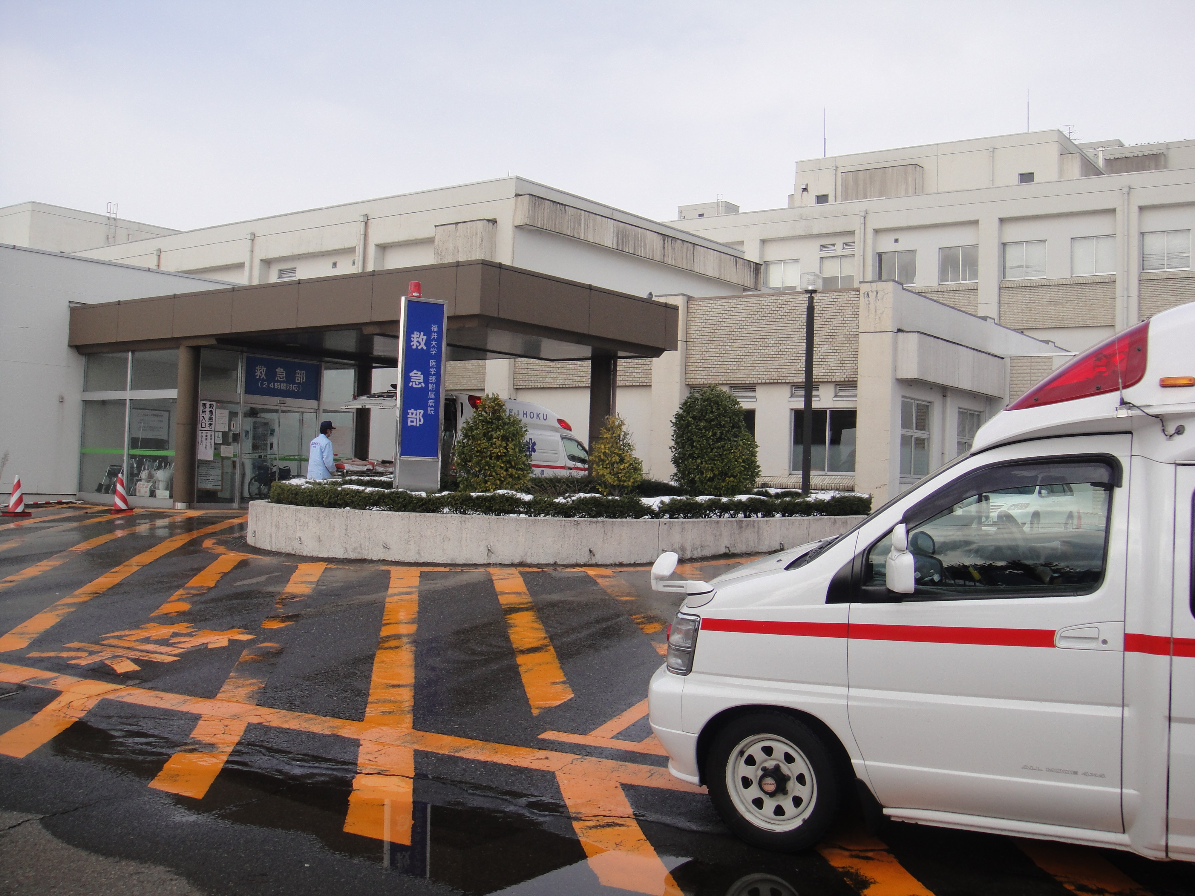 福井 大学 医学部 附属 病院