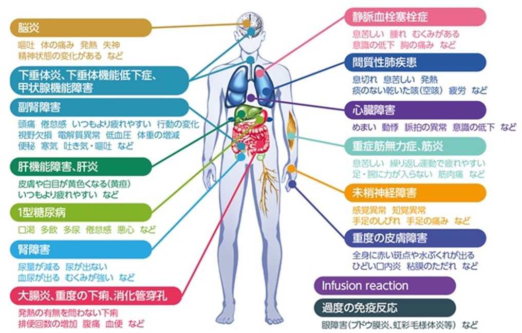 重 篤 な 有害 事象